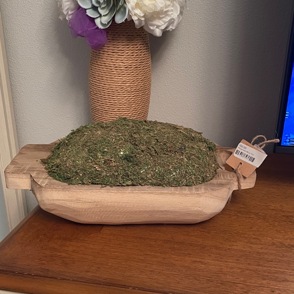 NWT MUD PIE Preserved Moss Handle Pot Tabletop Decor Wood Tray or Container